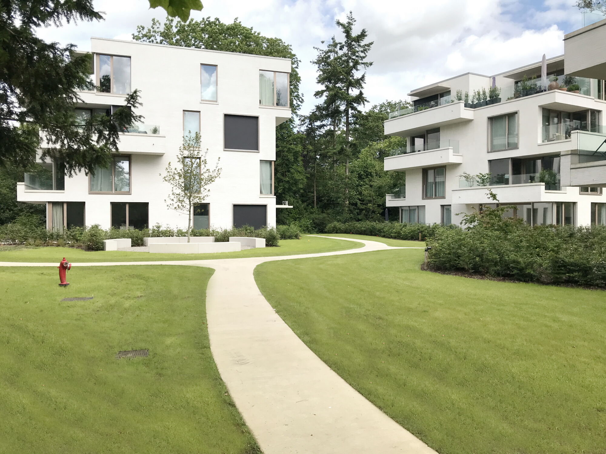 2024-05-28 klossebos04